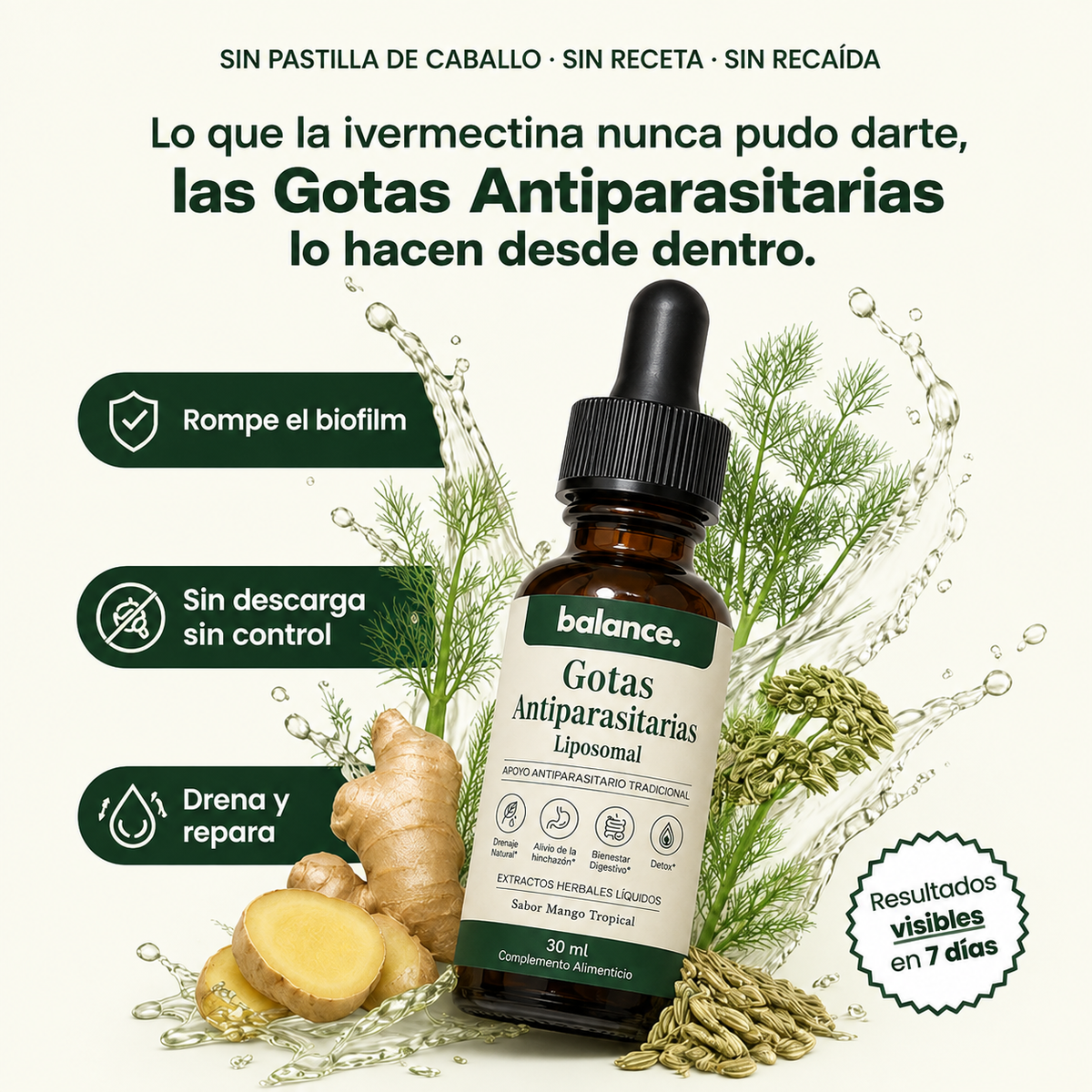 Esto es lo que nadie te dice: